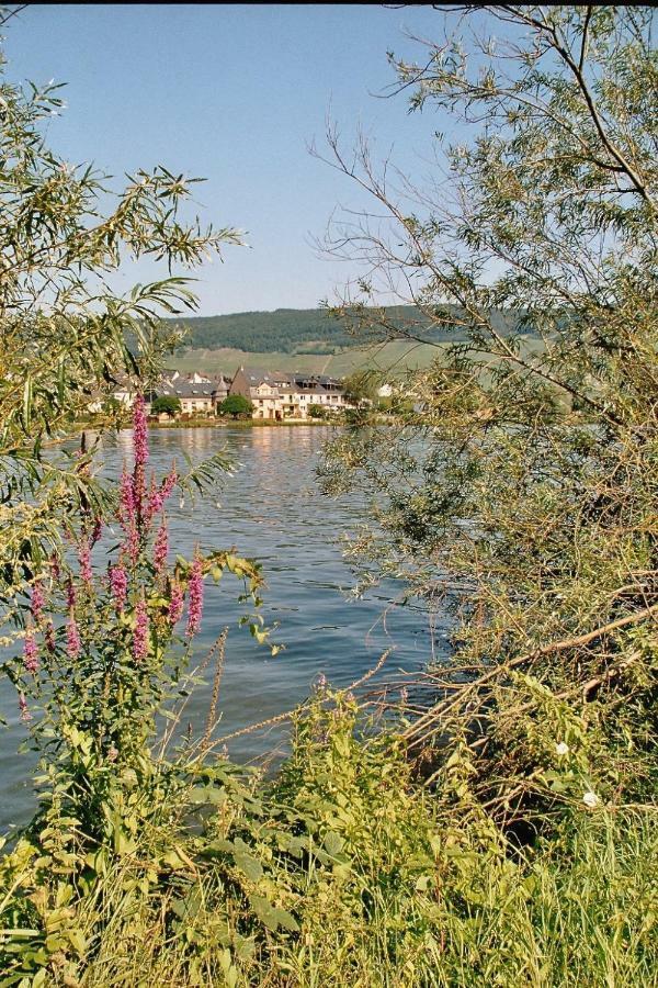 Hotel Alt Reinsport Piesport Exterior foto